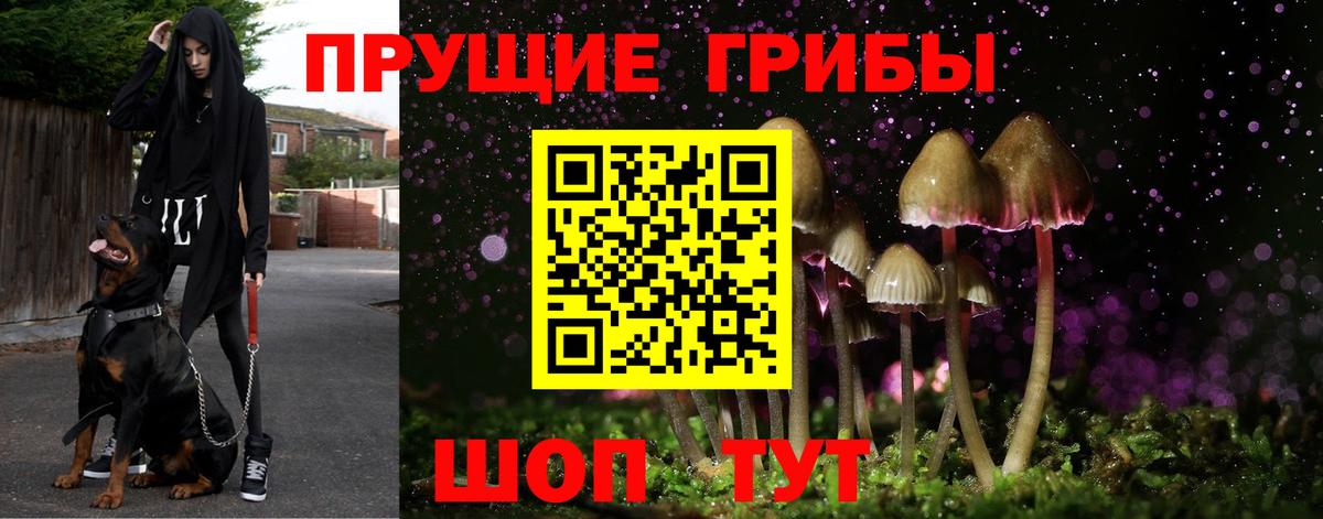 магазин  наркотиков  Галлюциногенные грибы Magic Shrooms  Вход с VPN  Кувандык 