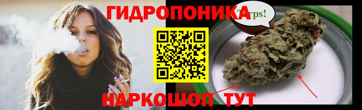 Бошки марихуана тримм  Вход с VPN  Бошки марихуана LSD WEED  Кувандык  МАРИХУАНА SATIVA & INDICA 
